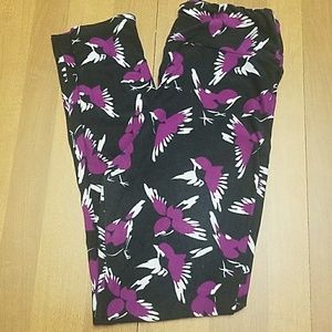 Beautiful Lularoe sparrow leggings